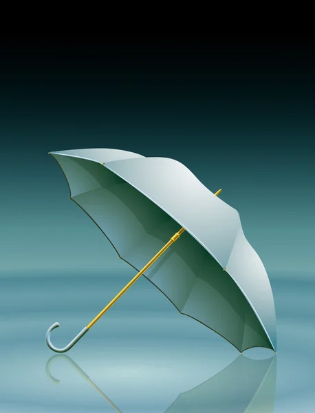 Guarda-chuva na chuva — Fotografia de Stock