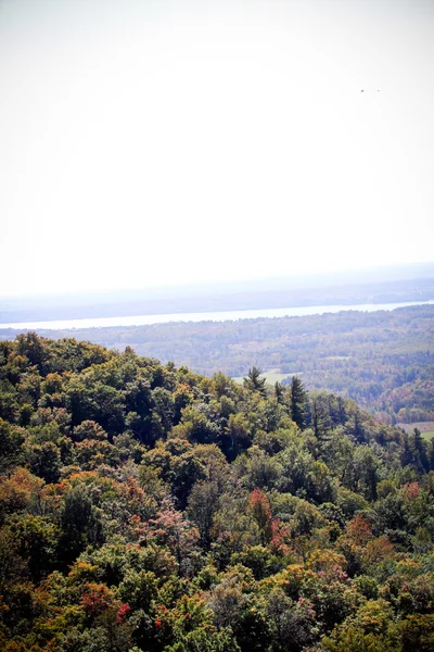 Vista aérea de cima sobre a paisagem florestal — Fotografia de Stock