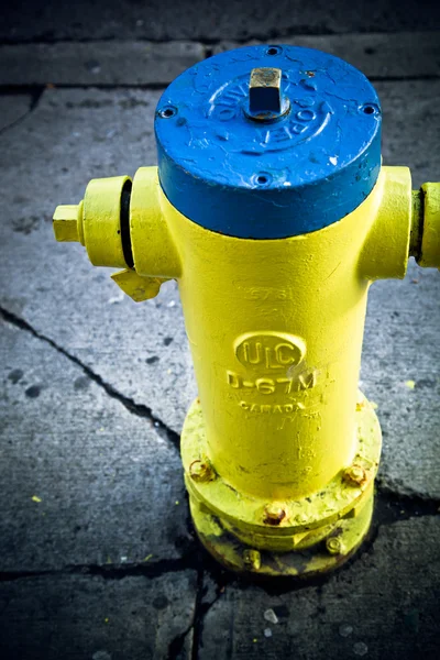Желтый пожарный гидрант — стоковое фото