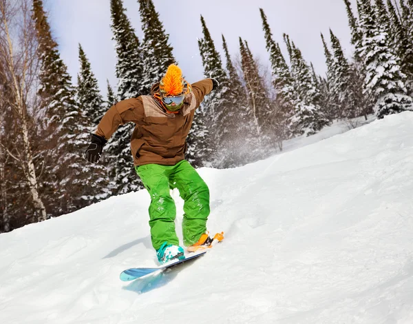Snowboarder montando na floresta coberta de neve — Fotografia de Stock