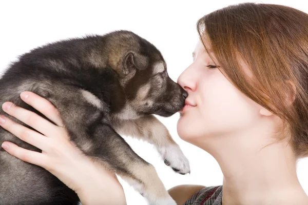 Stock image Beautiful woman with little puppy isolated