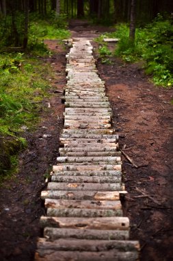 Winding forest wooden path walkway through wetlands clipart