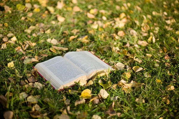 Otwórz książkę na trawie — Zdjęcie stockowe