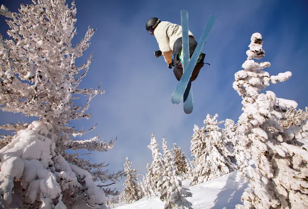 Skier jumping — Stock Photo, Image