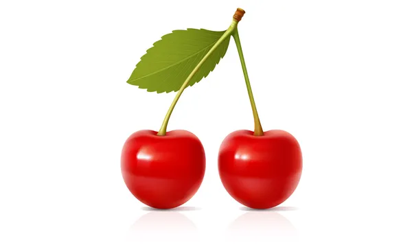 Cherry — Stock Vector