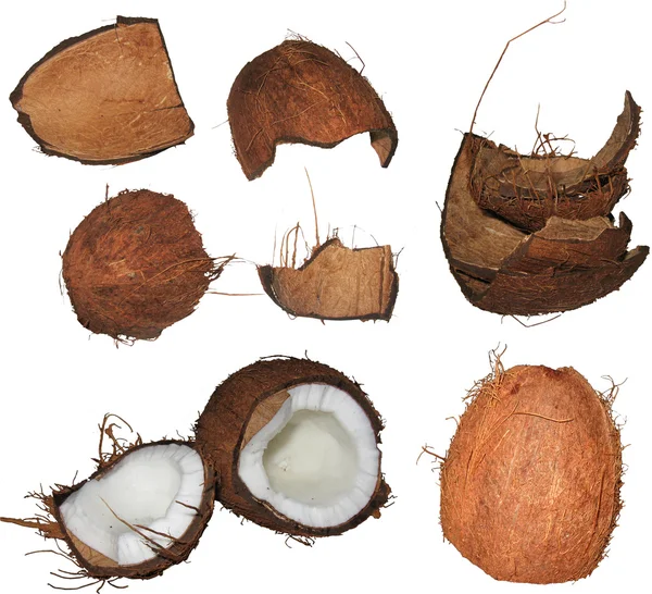 Coco, stuk, de gebroken kokosnoot, (achtergrond) — Stockvector