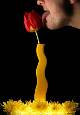 Man licking tulip clipart