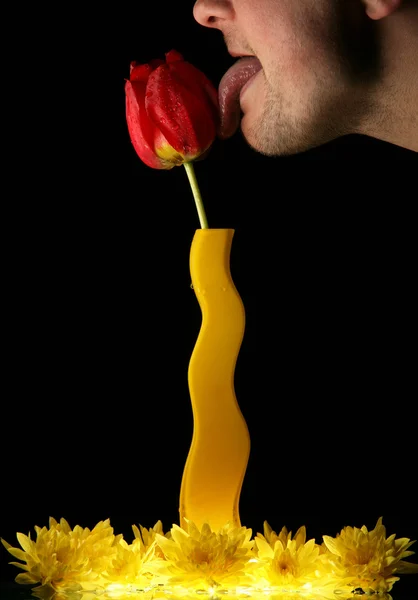 Stock image Man licking tulip