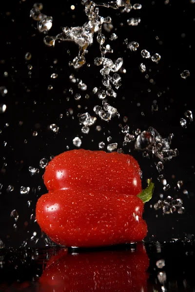 Pimienta roja con salpicaduras de agua —  Fotos de Stock