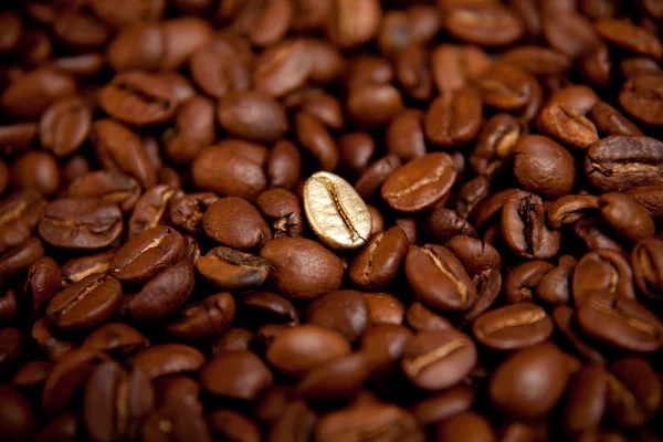 Smažené kávová zrna — Stock fotografie