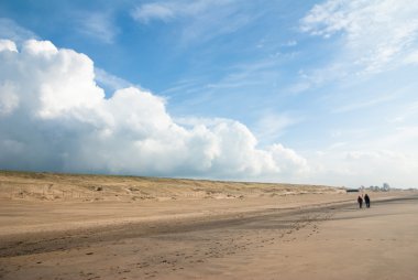 Sand dunes on the beach in Holland with blue sky clipart