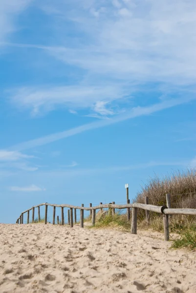 Wydmy przy plaży w Holandii z błękitnego nieba — Zdjęcie stockowe