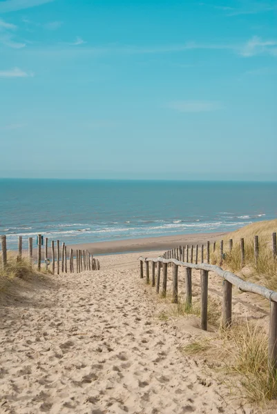 Sand dunes on the beach in Holland with blue sky — Stock Photo, Image