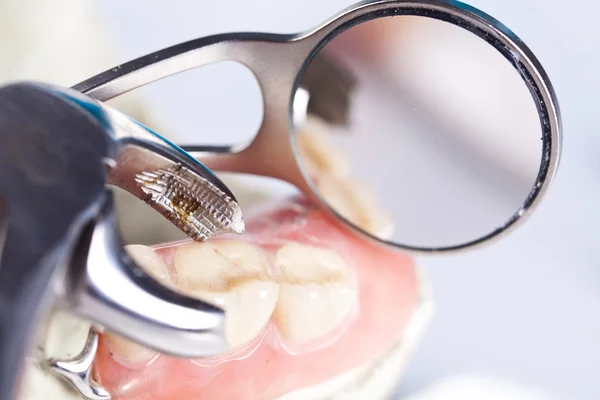 Stomatology ve diş check — Stok fotoğraf