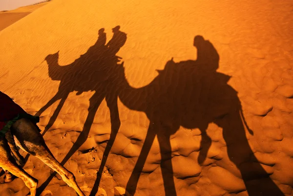 インドのタール砂漠でラクダに乗る — ストック写真