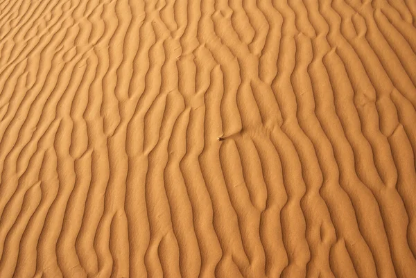 Sand waves background — Stock Photo, Image