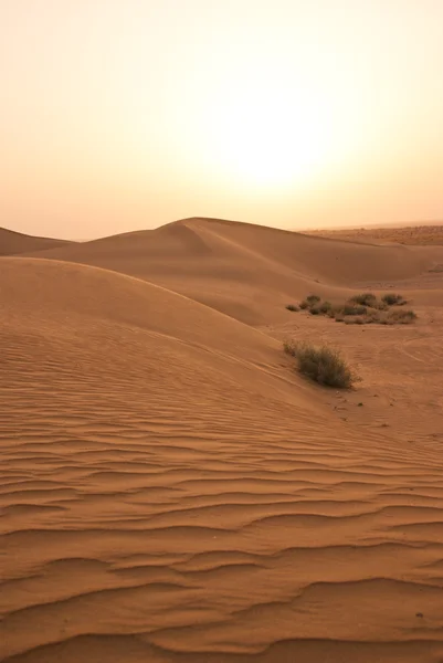 stock image Sand waves pattern