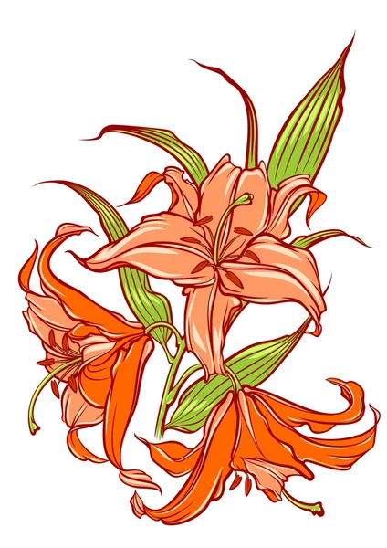 stock vector Orange lilies