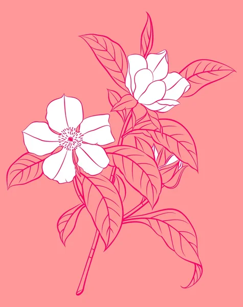 White flowering branch — Stock Vector