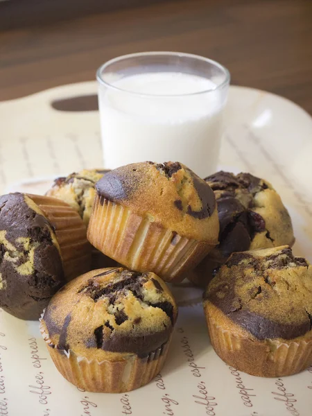 Kakaové muffiny — Stock fotografie