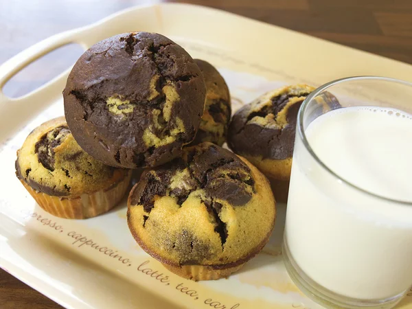 Kakaové muffiny na snídani — Stock fotografie
