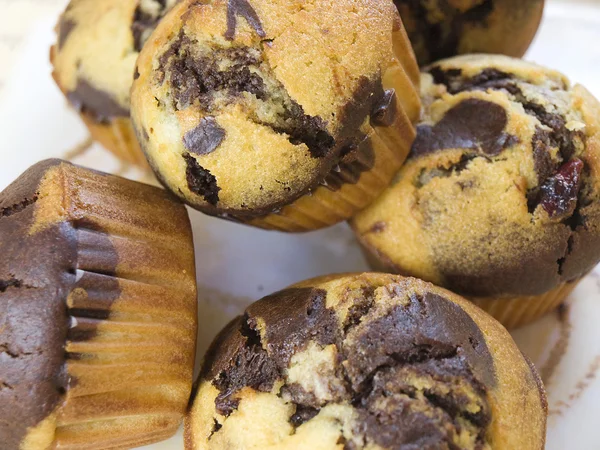 Pochi muffin al cacao — Foto Stock
