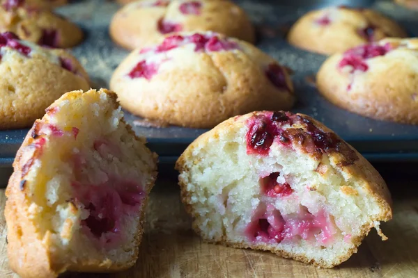 Muffins med röda vinbär — Stockfoto