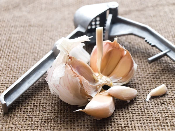 stock image Garlic cloves