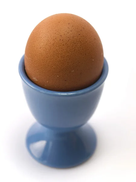 Mavi yumurtalık içinde yumurta