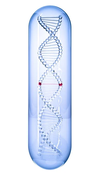 DNA 3d. Isolato su sfondo bianco — Foto Stock