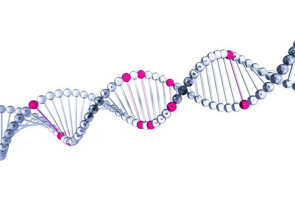 DNA 3d. Isolado sobre fundo branco — Fotografia de Stock