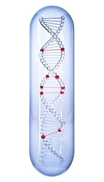 DNA 3d. Isolado sobre fundo branco Imagens De Bancos De Imagens Sem Royalties