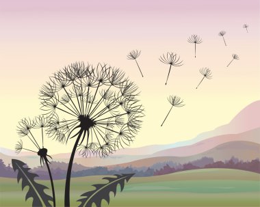 Dandelion clipart