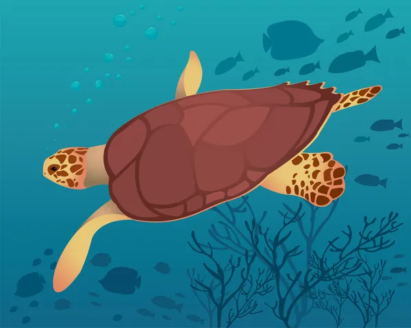 Kaplumbağa ve balık — Stok Vektör