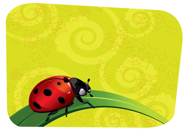 stock vector Ladybug