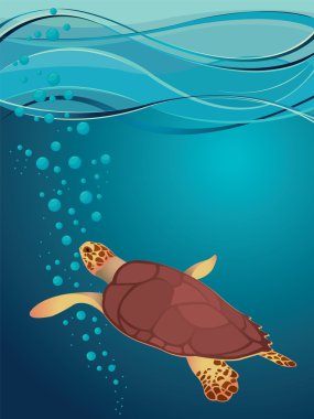 Turtle and sea clipart