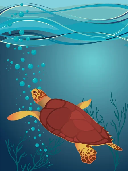 Schildkröte und Meer — Stockvektor