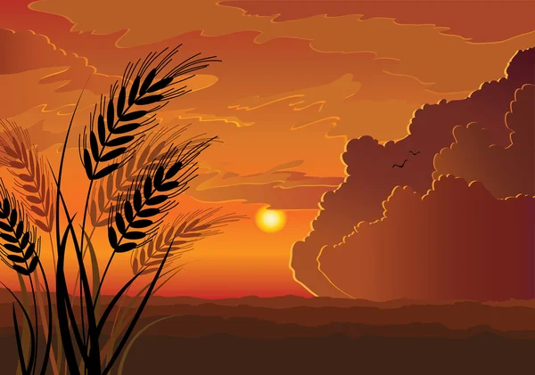 ベクトル日没の風景 — ストックベクタ