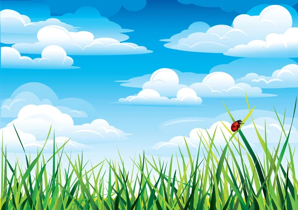 Ladybug and grass — Stock Vector
