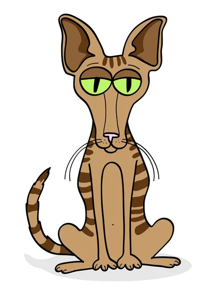 재미 있는 만화 불만족된 고양이 — 스톡 벡터