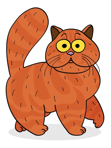 Funny cartoon scared cat on a white background — Stock Vector