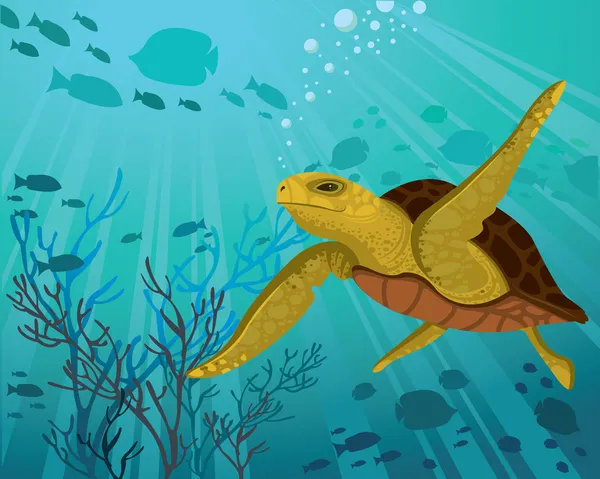 Deniz kaplumbağası — Stok Vektör