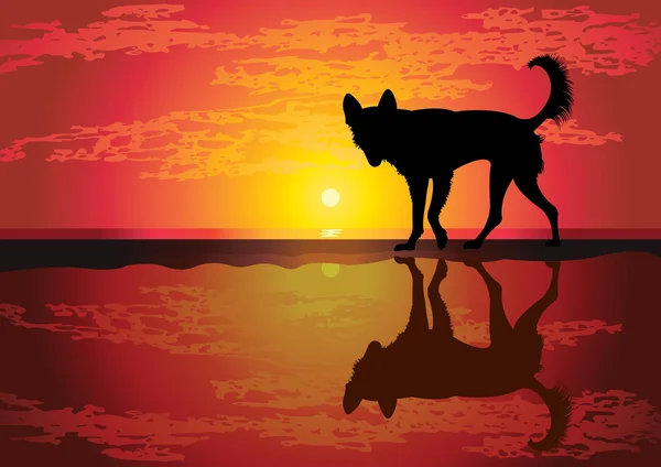 Silhouette de chien drôle — Image vectorielle