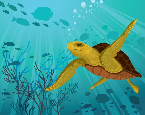 Tartaruga marina — Vettoriale Stock