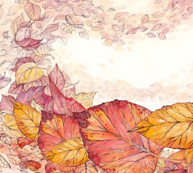 Colored leaves clipart