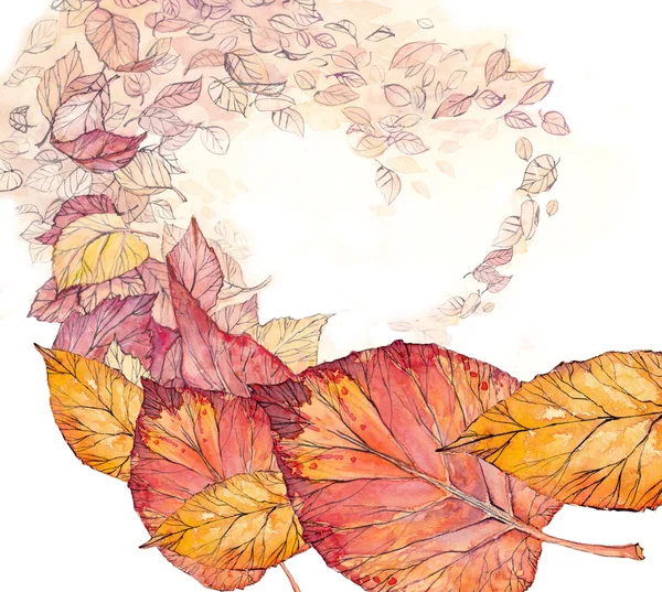 Leaves autumn, the heart — Stock Photo, Image