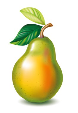 Pear with the leaves clipart