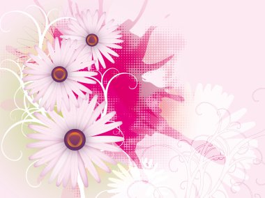 Daisies clipart