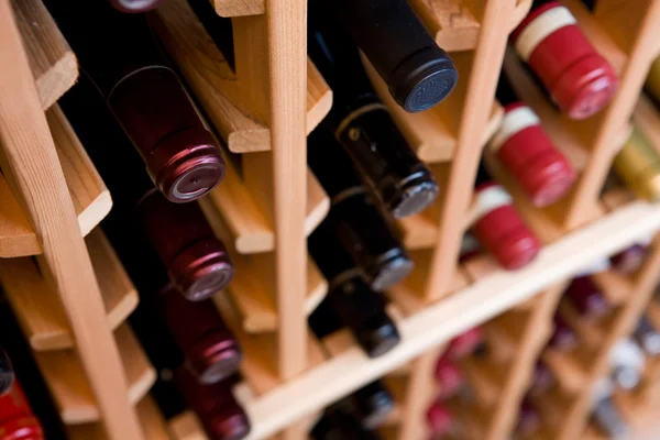 stock image Bottles of Wine In Cellar