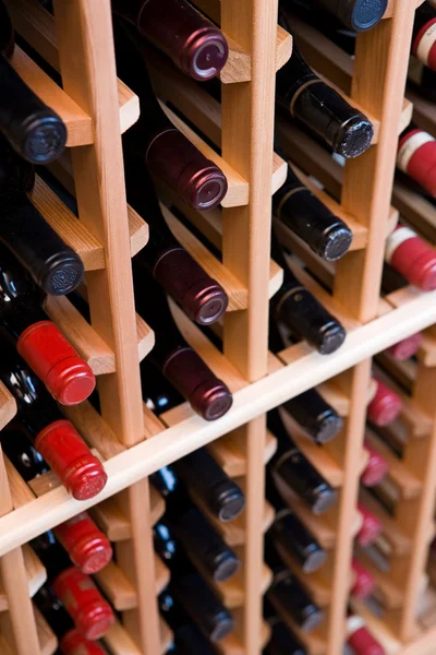 Flessen wijn in de kelder — Stockfoto